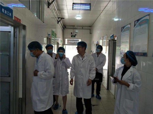 食品安全 學(xué)校餐飲服務(wù)食品安全等級獲評a級 濟南旅游學(xué)校食品安全順利通過市級專項檢查